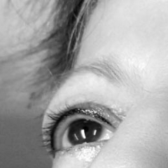pmu-augen-04