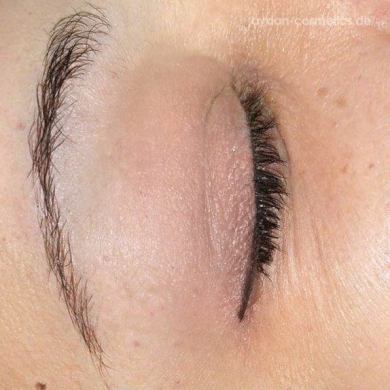 pmu-augen-07